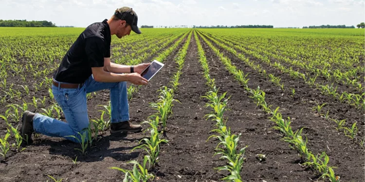 How Digital Transformation is Reshaping the Future of Farming?