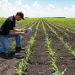 How Digital Transformation is Reshaping the Future of Farming?