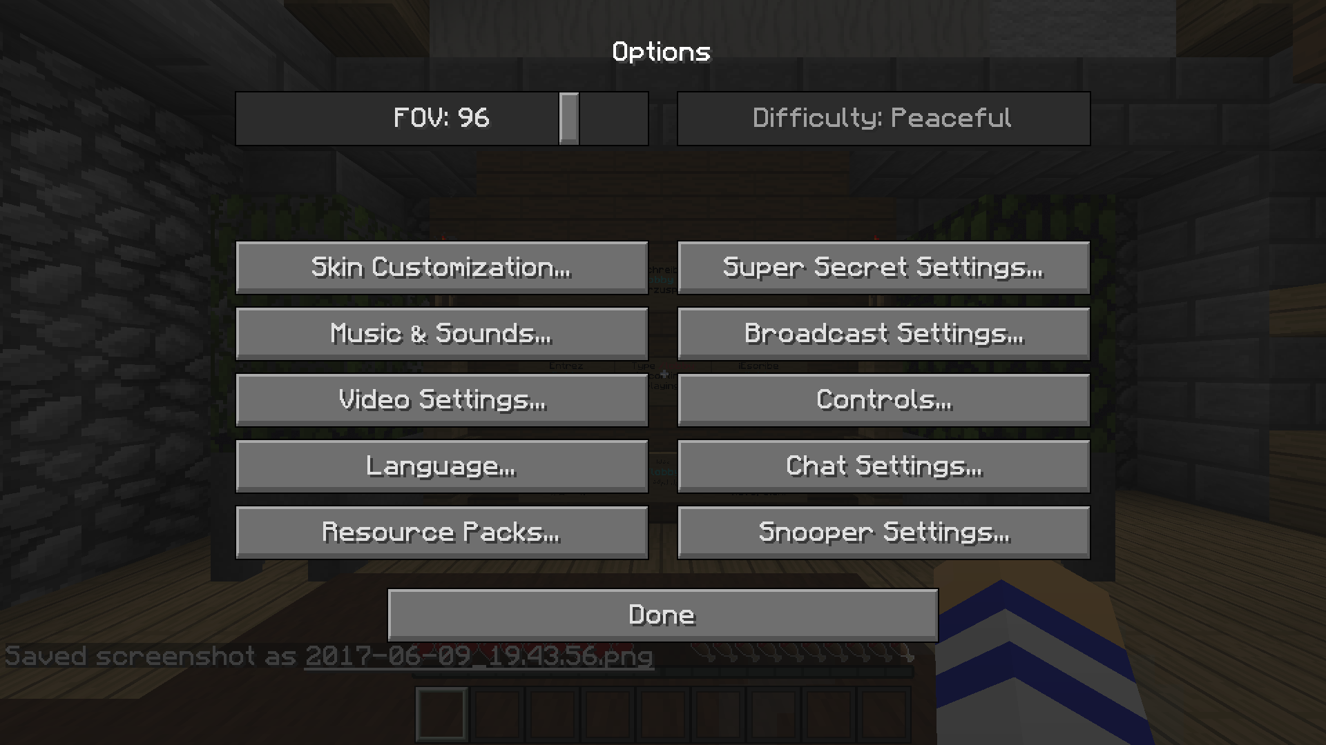 Best OptiFine configuration