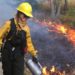 Wildland Firefighting and the importance of effective communications