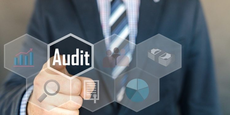 Audit, Inspection, Examination, Accounting, Auditor