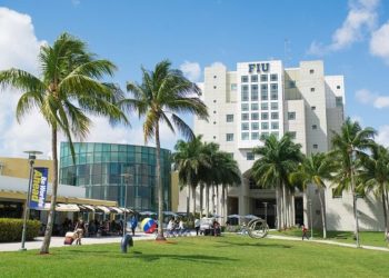 TOP universities in Miami, Florida for international students