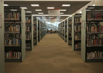 The Hidden Intellectual Lives Built Around Z-library