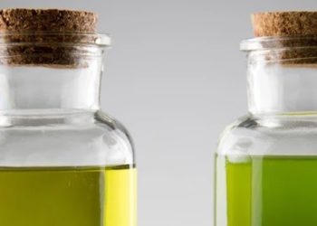 CBD Oil vs. Hempseed Oil: What’s the Difference?