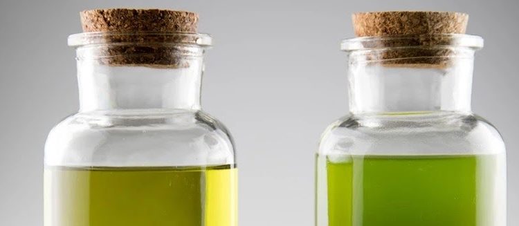 CBD Oil vs. Hempseed Oil: What’s the Difference?