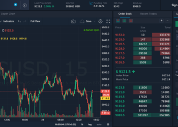 Trading Cryptocurrency Perpetual Swaps on Delta Exchange