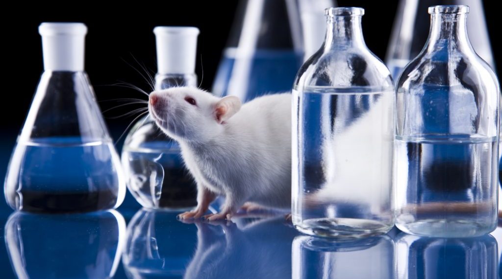 scientific research for animals