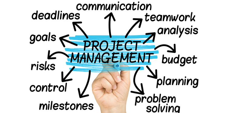 project management